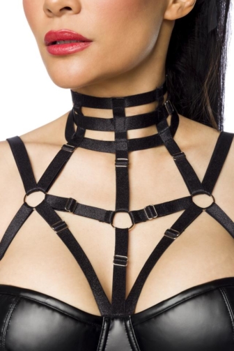 Harness- Wetlook-Kleid